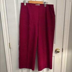 Elegant Women's Burgundy-cherry Pants - worn once